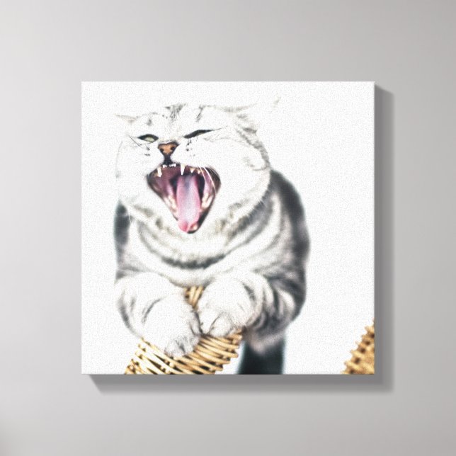 grey cat on white background canvas print (Front)
