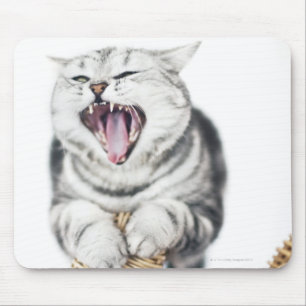 grey cat on white background mouse pad