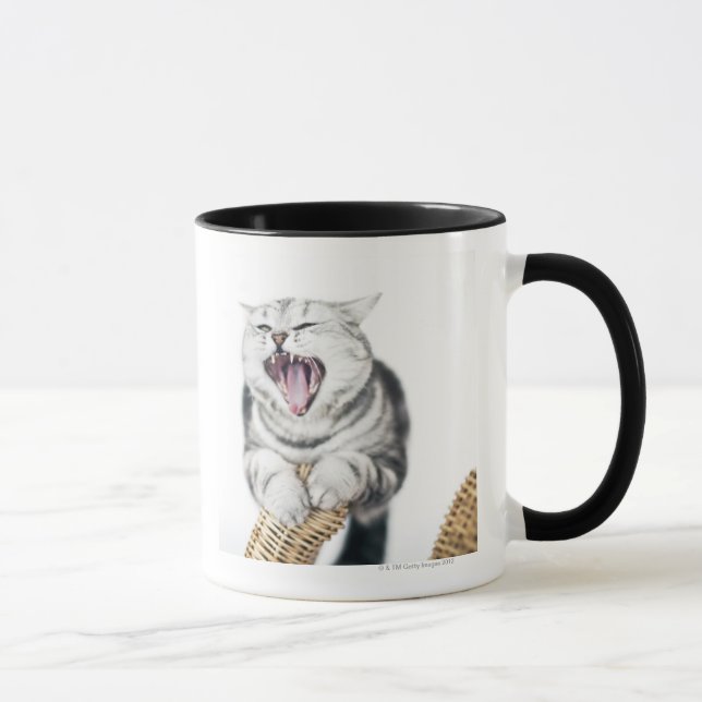 grey cat on white background mug (Right)