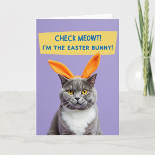Grey Cat Orange Ears Fun Card