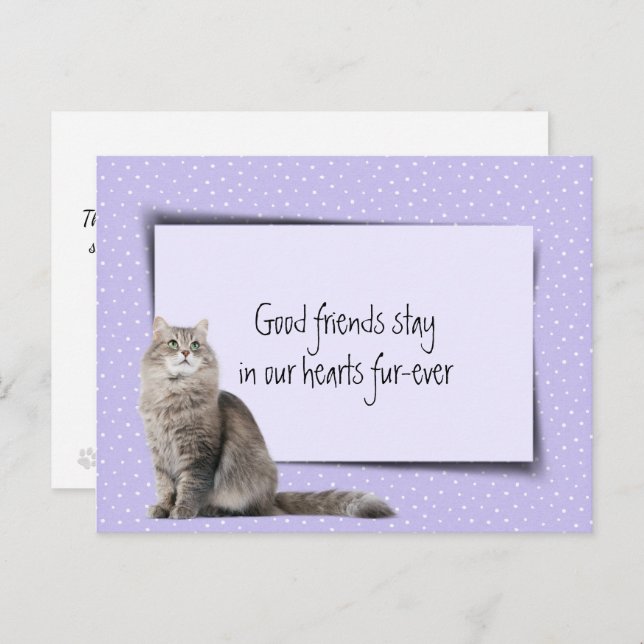 Grey Cat Pet Loss From Veterinarian Postcard (Front/Back)