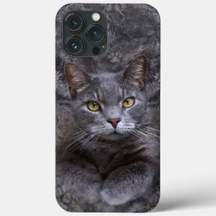 Grey Cat Phone Case 