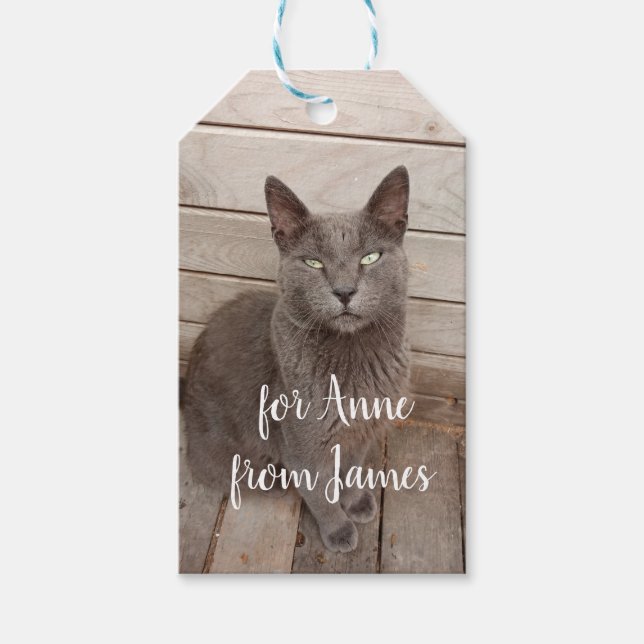 Grey cat photo gift tags (Front)