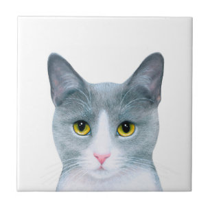 Grey Cat Portrait 611 Tile