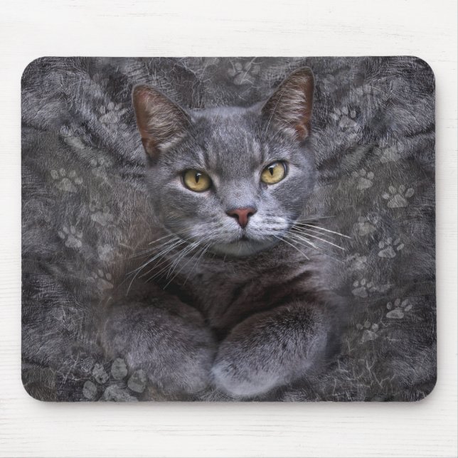 Grey Cat Portrait Mouse Pad (Front)