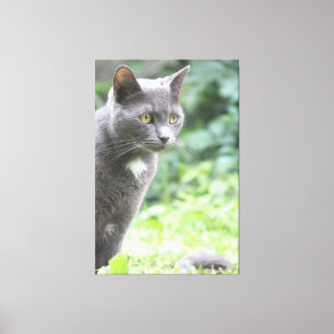 Grey Cat Print