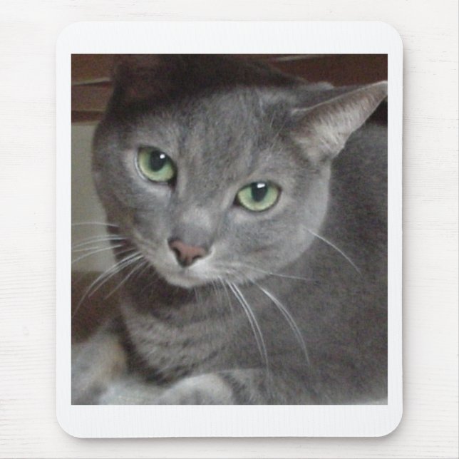 Grey Cat Russian Blue Mouse Pad (Front)