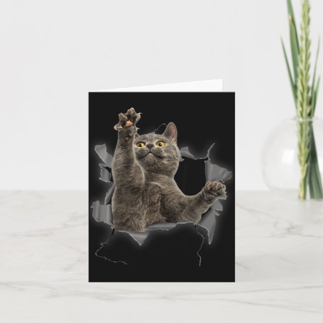 Grey Cat Torn Cloth Funny Cat Dad Cat Mum Cat Card (Front)