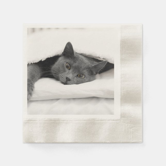 Grey Cat Under White Blanket Napkin (Front)