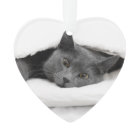 Grey Cat Under White Blanket