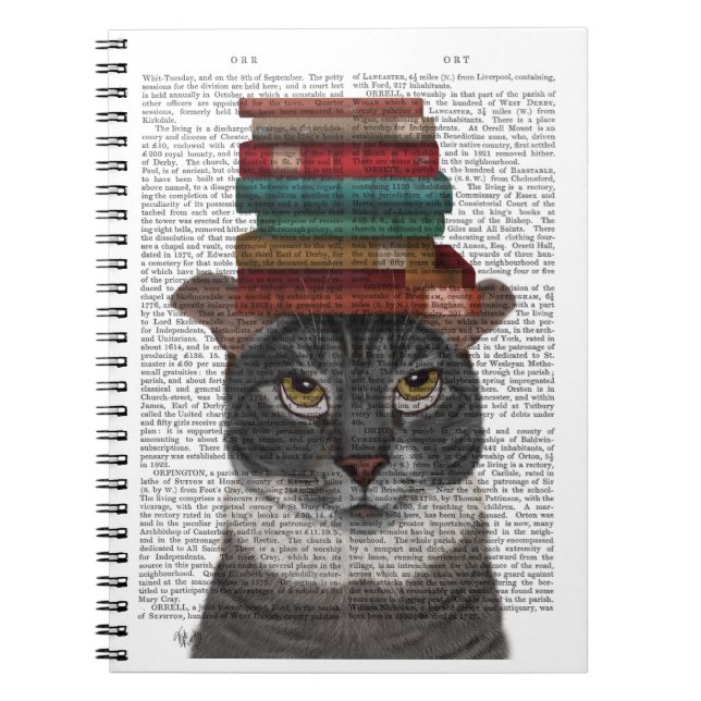 Grey Cat with Books on Head (Front)
