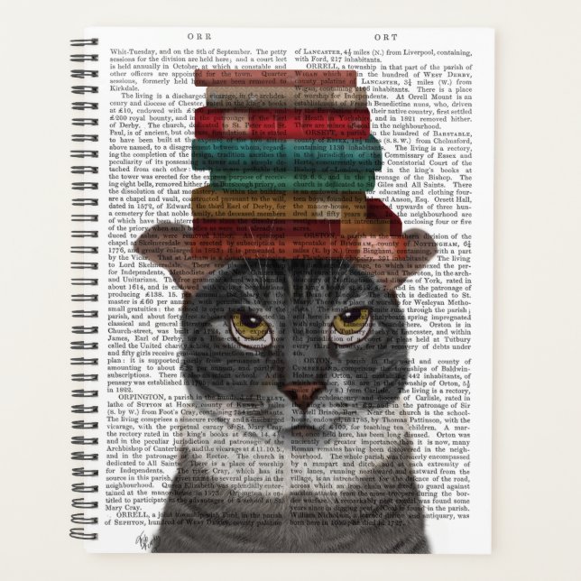 Grey Cat with Books on Head Planner (Front)