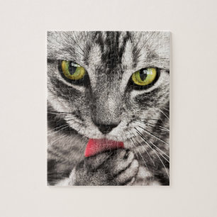 Grey Cat with Yellow Eyes Licking Paw Jigsaw Puzzle