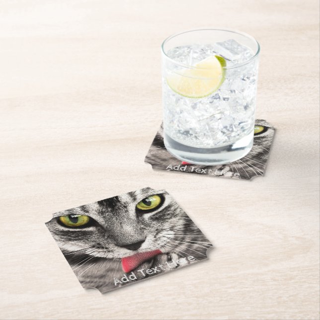 Grey Cat with Yellow Eyes Licking Paw Paper Coaster (Insitu)