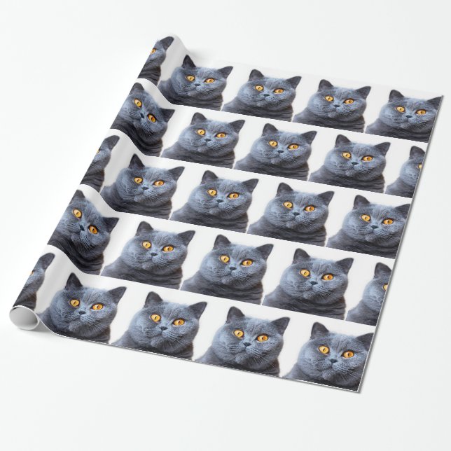 Grey cat yellow eyes wrapping paper (Unrolled)