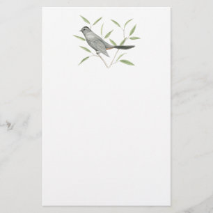 Grey Catbird Bird Art Stationery