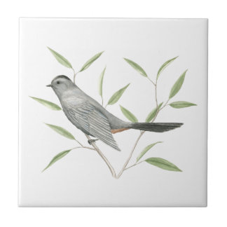 Grey Catbird Bird Art Tile