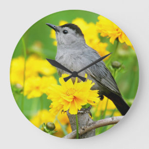 Grey Catbird on wooden fence Large Clock