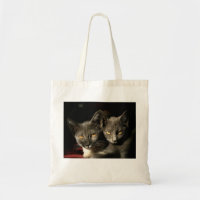Grey Cats Photo Budget Tote