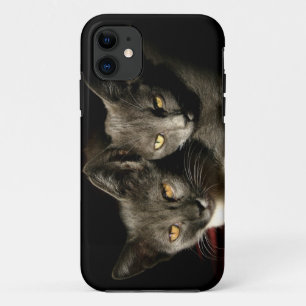 Grey Cats Photo iPhone SE + iPhone 5/5S Case