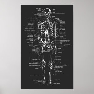 grey chalkboard style skeleton poster