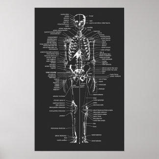 grey chalkboard style skeleton poster