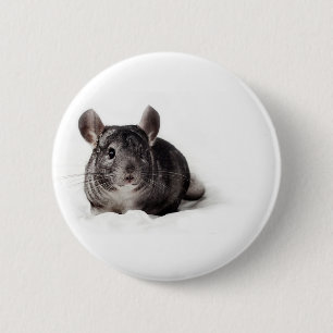 Grey Chinchilla Cute in Blanket 6 Cm Round Badge