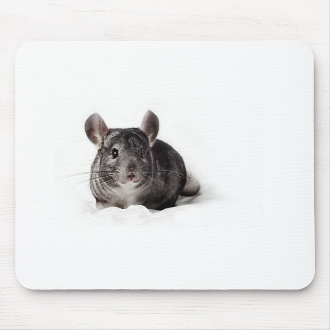 Grey Chinchilla Cute in Blanket Mouse Pad (Front)