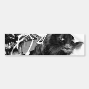 Grey Christmas Kitty I Bumper Sticker