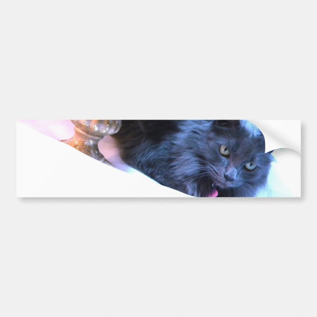 Grey Christmas Kitty III Bumper Sticker (Front)