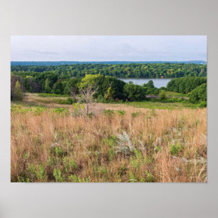 grey cloud dunes and mooers lake scenery poster