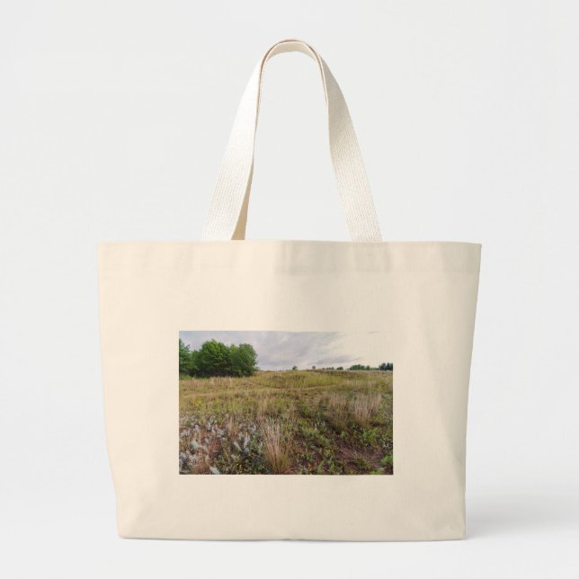 grey cloud dunes and pine bluff overlook  large tote bag (Front)