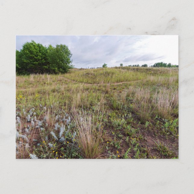 grey cloud dunes prairie landscape postcard (Front)