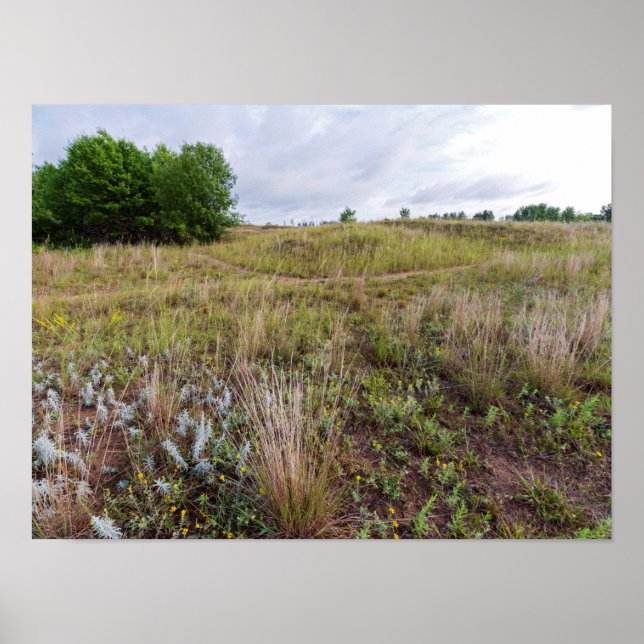 grey cloud dunes prairie landscape poster (Front)