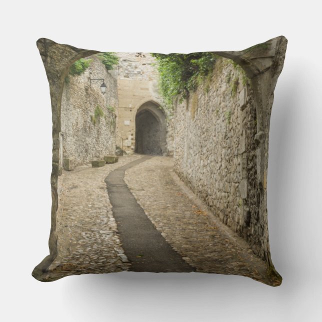 Grey Cobblestone street, France Cushion (Front)