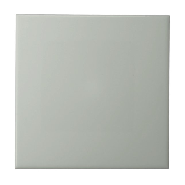 Grey Comfort Square Kitchen and Bathroom Tile (Front)