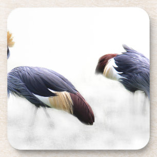 grey crowned crane bird wings feathers coaster