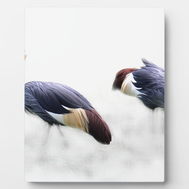 grey-crowned-crane plaque (Front)