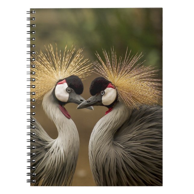 Grey Crowned Crane Spiral Notebook (Front)