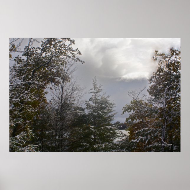 Grey Day Beauty Poster (Front)