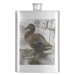 Grey duck on dark the lake hip flask