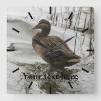 Grey duck on dark the lake