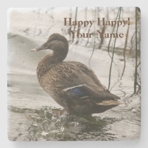 Grey duck on dark the lake stone coaster