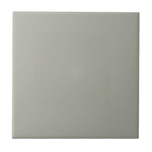 Grey Escape Square Kitchen and Bathroom Tile