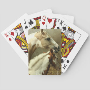 Grey Eventing Horse Deck of Cards