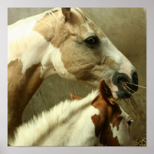 Grey Eventing Horse Poster