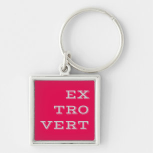 Grey Extrovert Keychain