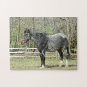 Grey Farm Horse Puzzle