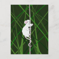 Grey field mouse in the tall grass