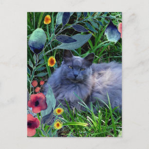 Grey Fluffy Cat in Garden with Flowers Postcard